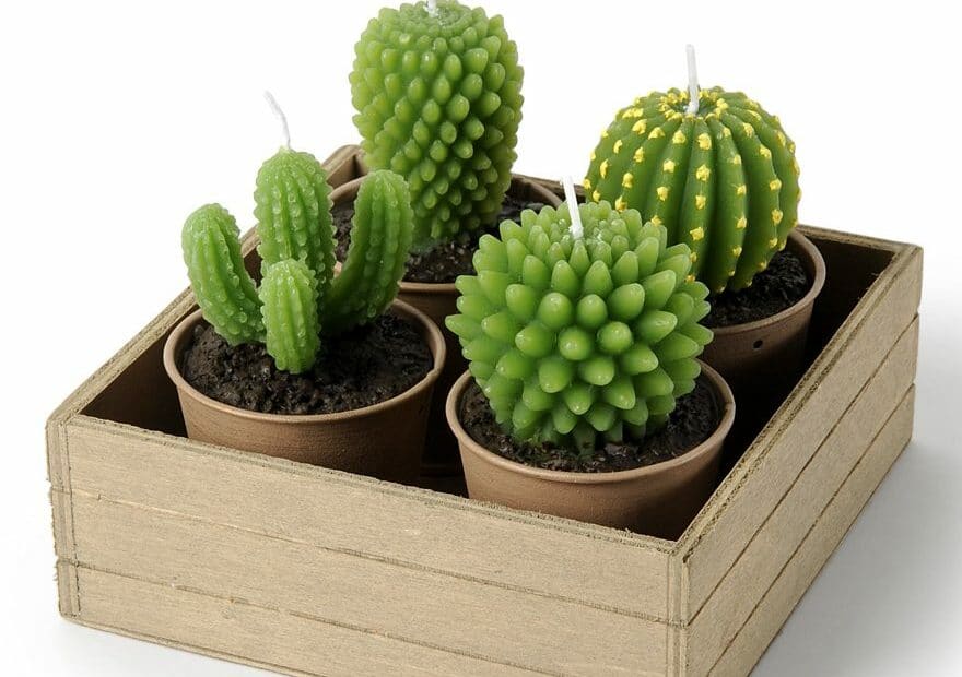 Idées déco : les bougies cactus